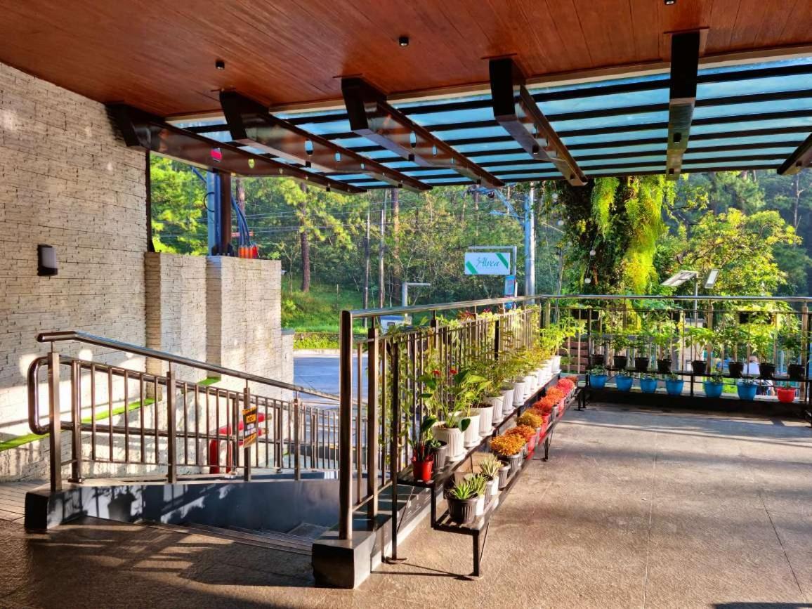 באגויו Alvea Hotel And Residences מראה חיצוני תמונה